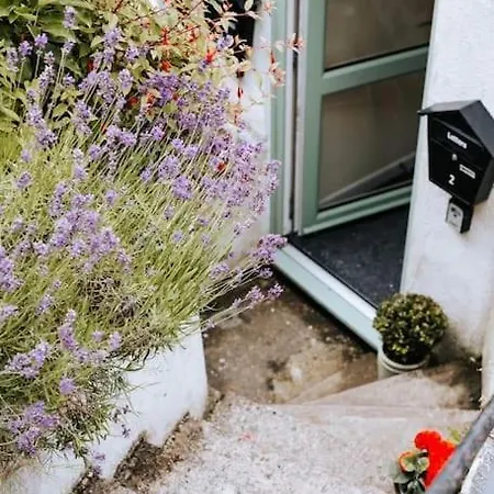 The Garden Hideaway, 2 Bed Home Heart Of The Town - Starlink Wi-Fi Tavistock  Exterior photo