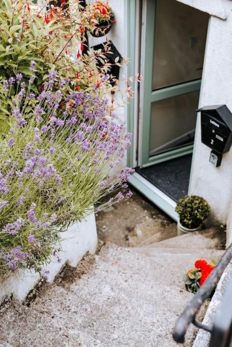 Apartment The Garden Hideaway, 2 Bed Heart Of The Town - Starlink Wi-fi